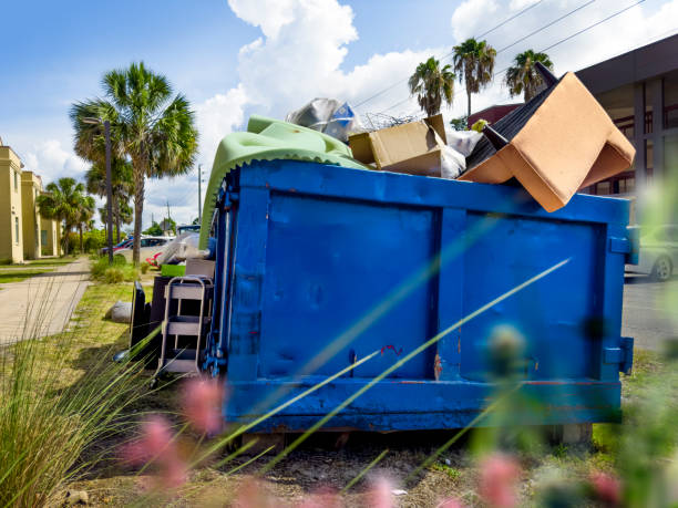 Yard Cleanup Services in Vivian, LA